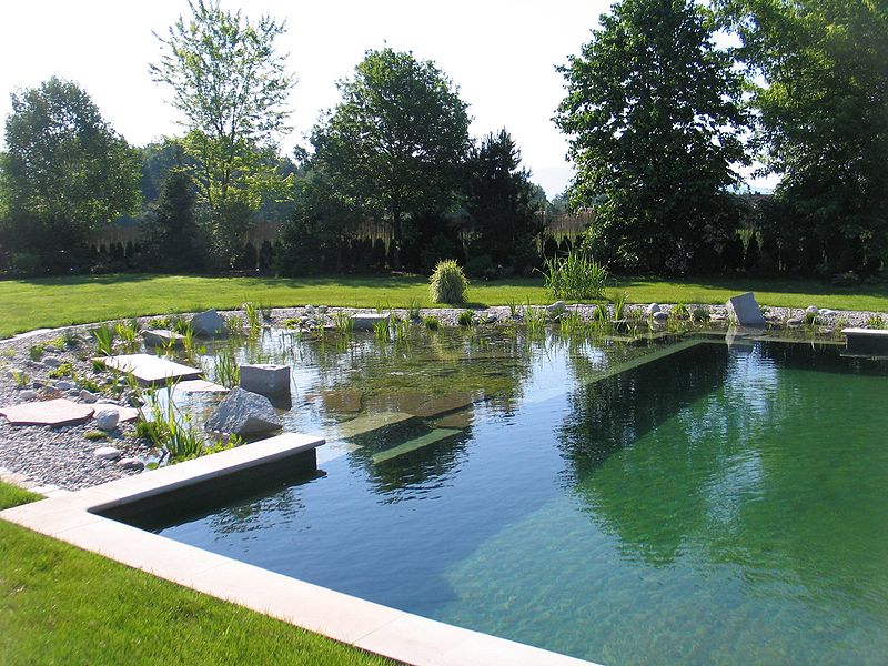 Comment construire une piscine écologique ?