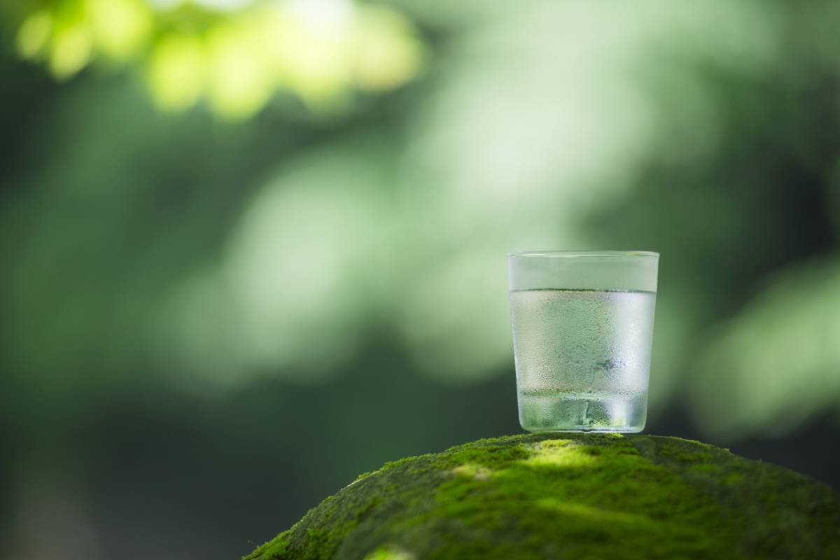 Comment proposer des verres écologiques dans votre événement ?