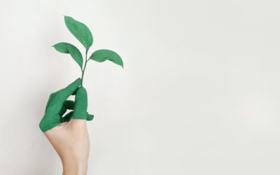 Tout savoir sur le greenwashing