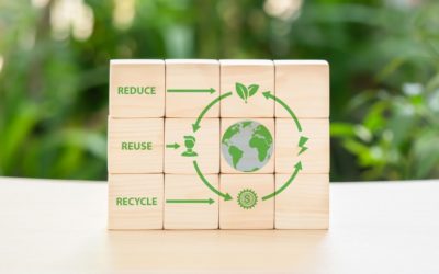 Les certifications et labels écologiques : un atout pour les entreprises
