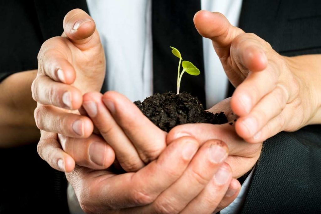 culture d’entreprise éco-responsable