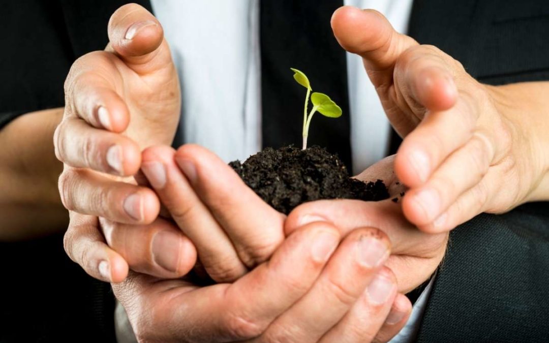 culture d’entreprise éco-responsable