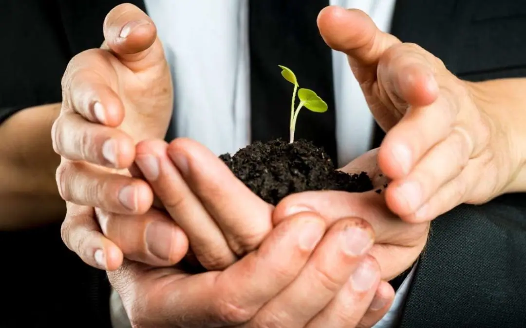 culture d’entreprise éco-responsable