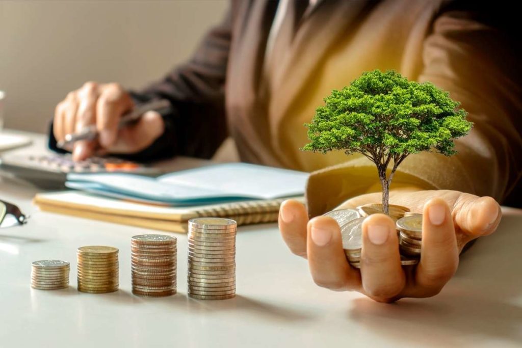 entreprises éco-responsables rentabilité