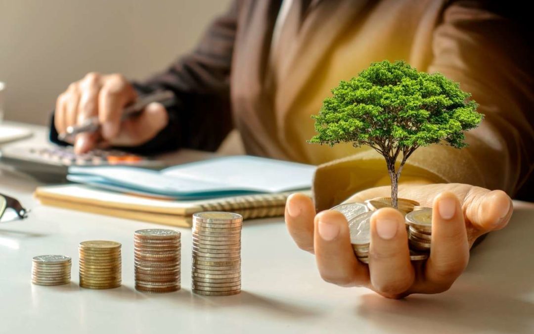 entreprises éco-responsables rentabilité