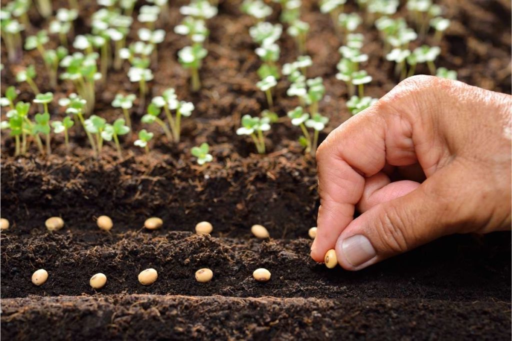 entreprises et biodiversité
