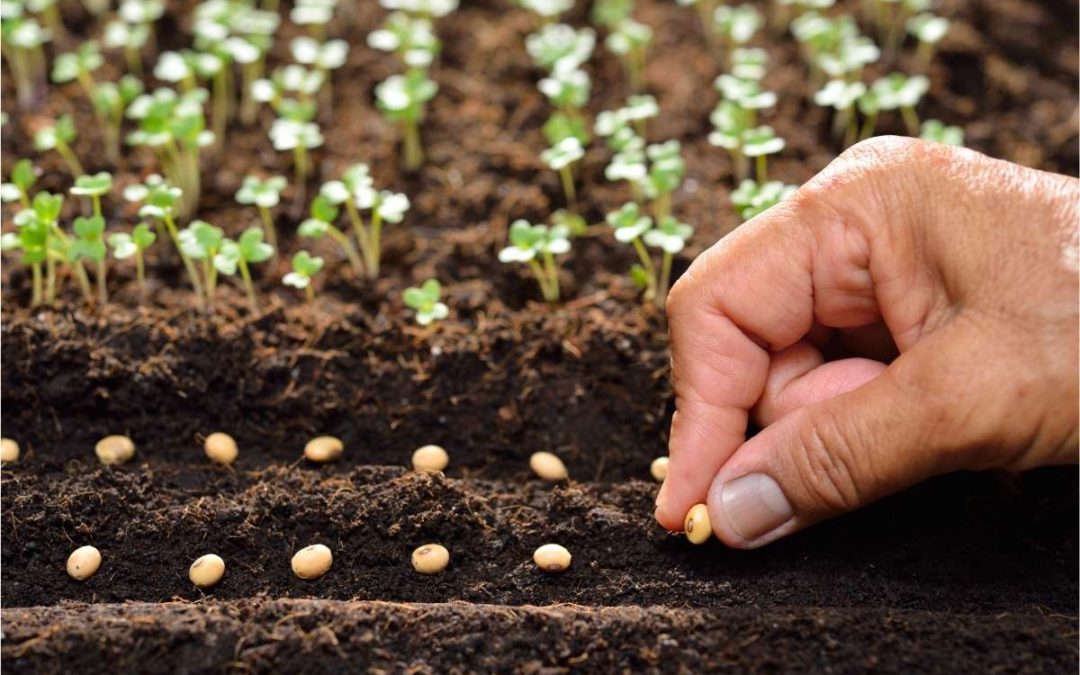 entreprises et biodiversité