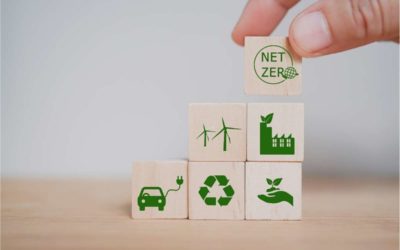 La transparence écologique : un atout majeur pour votre entreprise