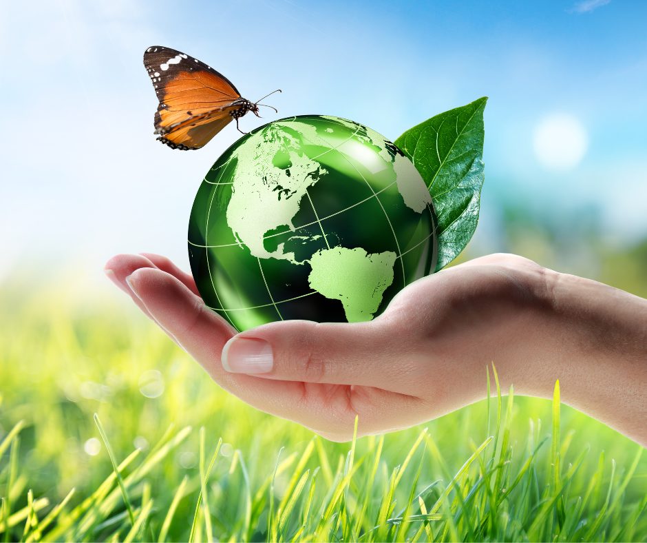 eco web