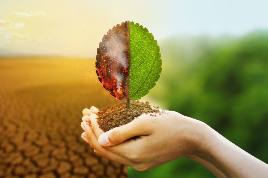 Réduire l'impact environnemental de l'entreprise