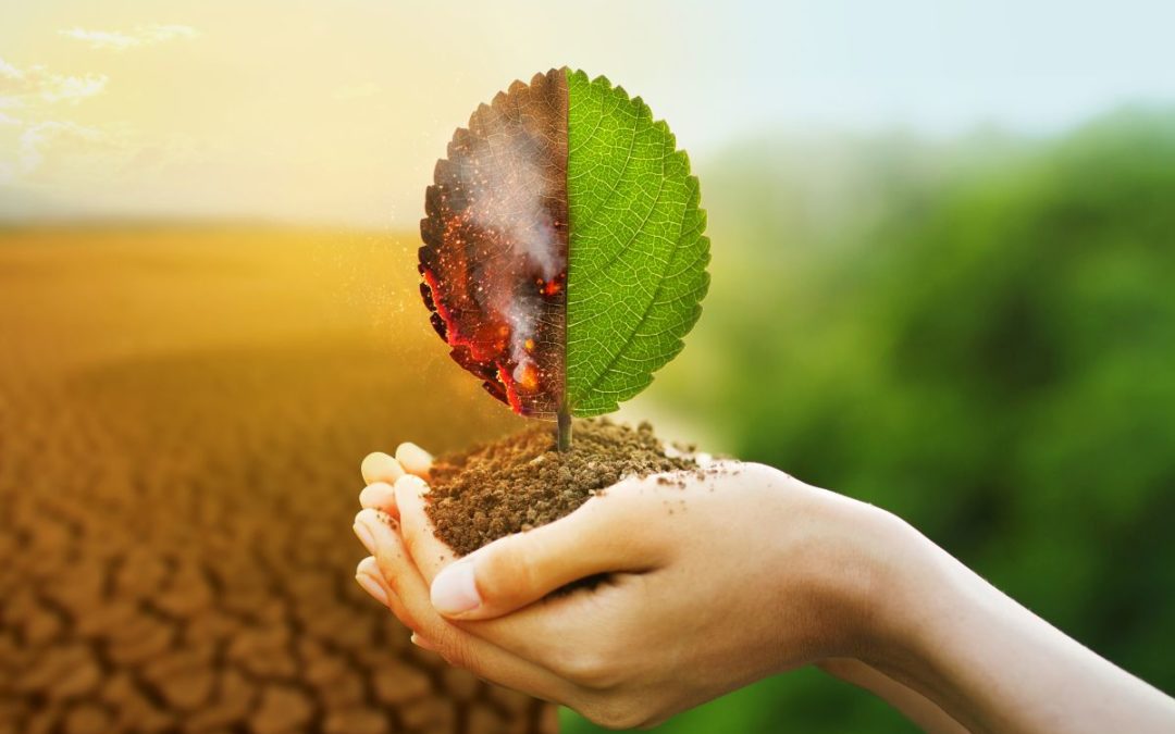 Réduire l'impact environnemental de l'entreprise